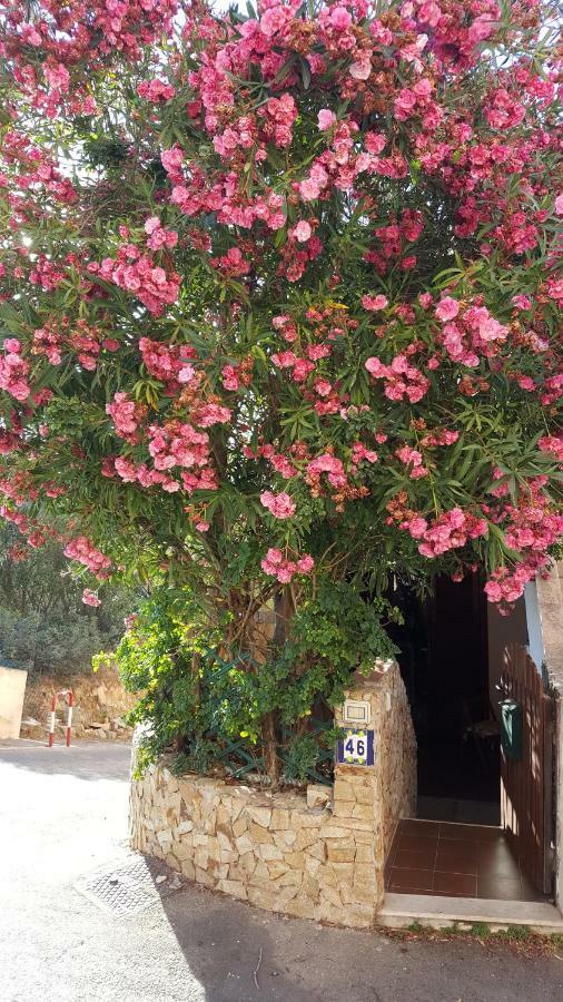 فيلا فيلاّسيمِيوسفي Bilocale Il Geraneo المظهر الخارجي الصورة